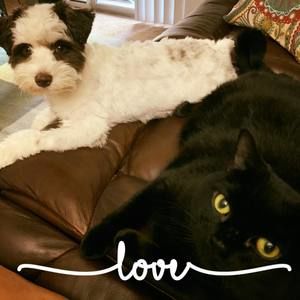 Meet your Posher, Jackie